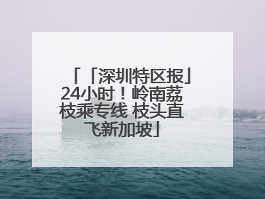 「深圳特区报」24小时！岭南荔枝乘专线 枝头直飞新加坡